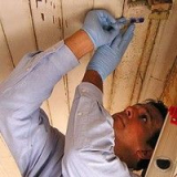(Mold / Water Damage / Attic Insulation) Darryl Riddle