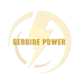 (Electric Energy Consultation) Cameron Walker