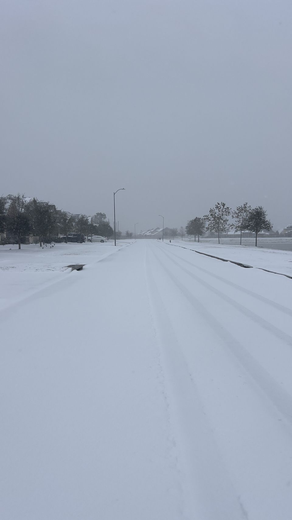 Snow in Manvel, Tx I guess all things are possible!