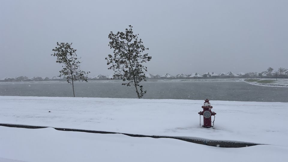 Snow in Manvel, Tx I guess all things are possible!